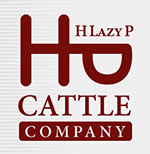 Branding Design
