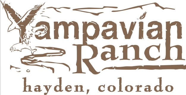 Branding Design